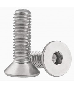 Tornillos P/ Fusible Bicicleta 4x10mm Paso 0.70mm X Par