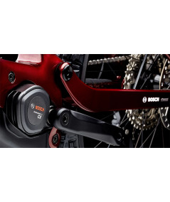 E-bike Mmr Quercus 10 Bosch 800Wh